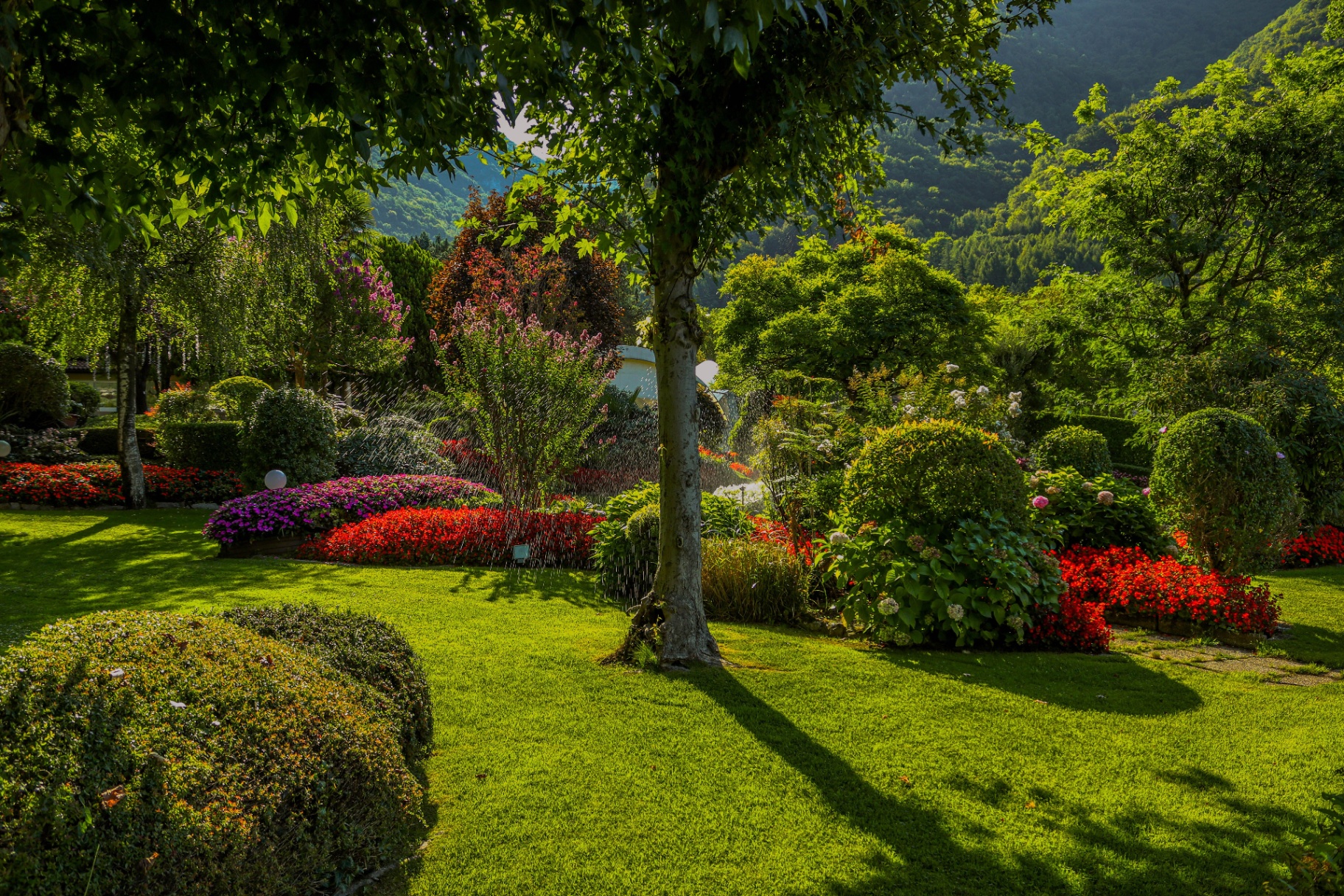 Jardin entretenu dans l'Allier