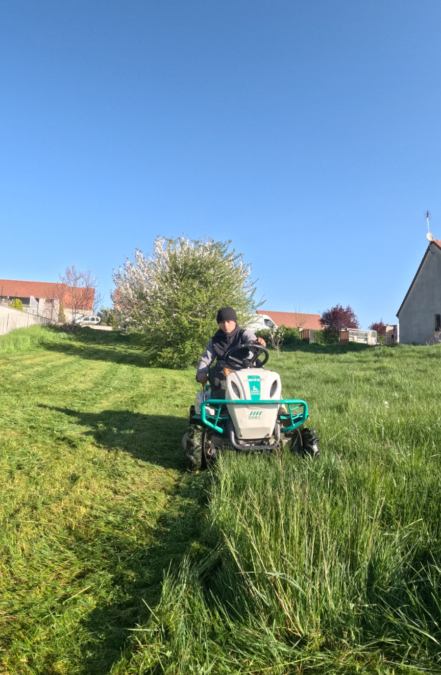 Tonte de pelouse